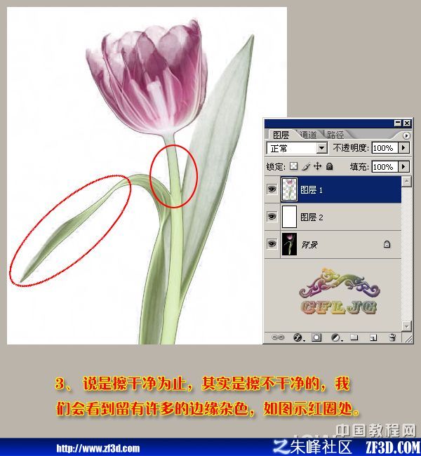 PhotoshopƤ߿ٓD